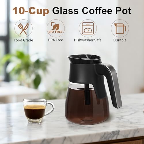 10-Cup Glass Carafe Replacement for Ninja Coffee Makers - My Kitchen Products