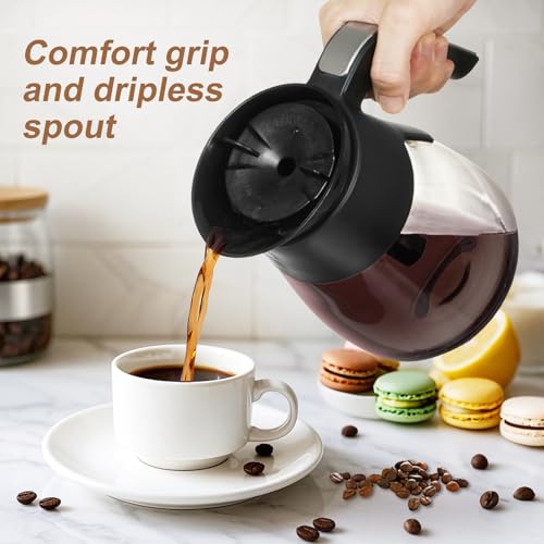 10-Cup Glass Carafe Replacement for Ninja Coffee Makers - My Kitchen Products