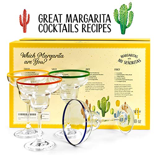 10 oz Margarita Cocktail Glasses + Colorful Party Rims | Set of 4 | Classic Frozen Drinks Stemware + Fun Cactus Gift Box | Thick Stem, Heavy Duty, Clear Hand Blown Glassware Drinking Set - My Kitchen Products
