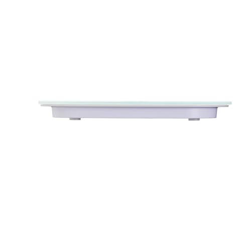 Taylor Pro Digital Kitchen Food Scales, Compact Professional Standard with Precision Accuracy and Waterproof Design with Tare Feature, White Glass, Weighs 14 kg/14 L Capacity
