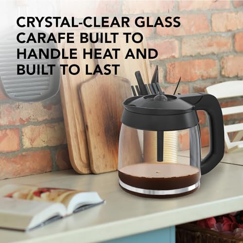 12-Cup Glass Coffee Carafe Replacement Compatible ONLY with Ninja Coffee Brewer Maker Models CE251 CE201 CE201C CE200 CE200C - My Kitchen Products