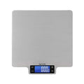 Taylor 22lb Ultra-Precise Digital Stainless Steel Household Kitchen Scale, One, Silver