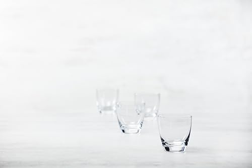 Schott Zwiesel Era Crystal Glass, 12 Oz. Double Old Fashioned (Set of 4), Clear