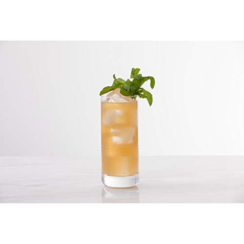 Crafthouse by Fortessa Professional Barware by Charles Joly, Etched Schott Zwiesel Tritan 16.2 oz Iced Beverage, Longdrink, Collins Barware/Cocktail Glass, Set of 4