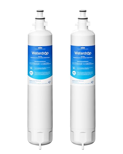 Waterdrop WD-F19C Replacement for GE® RPWFE®, RPWF (Built-in CHIP) Refrigerator Water Filter, Compatible with GFE28GYNFS, GFE28GELDS, PFE28KELDS, PFE28KYNFS, GFD28GELDS, PWE23KELDS, 2 Filters