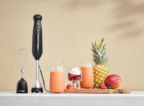 Vitamix 2-Speed Immersion Blender + Whisk, Black (Renewed)