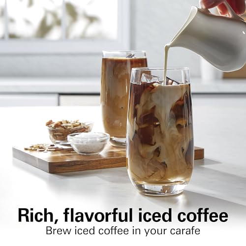Hamilton Beach 12 Cup Programmable Hot & Iced Coffee Maker