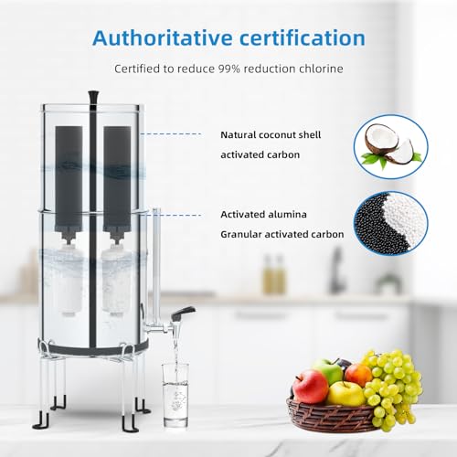 Virego Gravity Water Filters for Berkey Water Filter Replacement, Replacement for BB9-2® Black Filter & for PF-2® Fluoride Filters Combo Packs,Compatible with Berkey Gravity Water Filter System,NSF 42