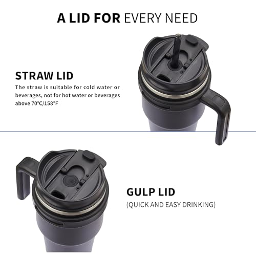 ALOUFEA 20 oz Insulated Coffee Mug Tumbler with Handle, Stainless Steel Travel Mug Tumbler with Lid and Straw,Double Wall Vacuum Leak Proof Ice Coffee Thermal Cup, Black