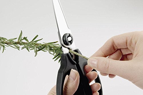 OXO Good Grips Multi-Purpose Kitchen Shears and Herb Scissors