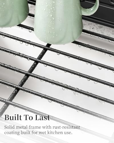 SAYZH Expandable Dish Drying Rack for Kitchen Counter, Metal, Black