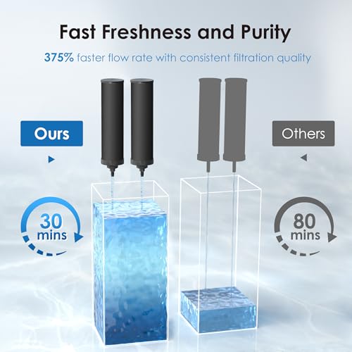 Waterdrop Black Water Filter, Replacement for Berkey®, Purewell®, ProOne®, BB9-2® Carbon Filters, Waterdrop Gravity Water Filter System, NSF/ANSI 42&372 Certified Water Filter, 2 Pack