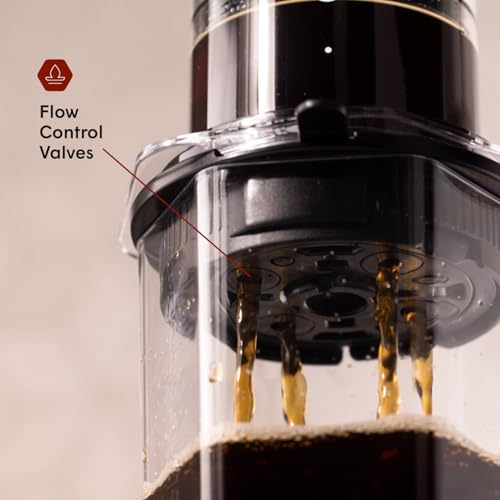AeroPress XL Flow Control Filter Cap, Prevents Drip-Through for Full Control Over Grind Size & Time, Brew Classics, Espresso Style, Lattes, Cold Brew & More, Fits XL Size AeroPress Manual Coffee Maker