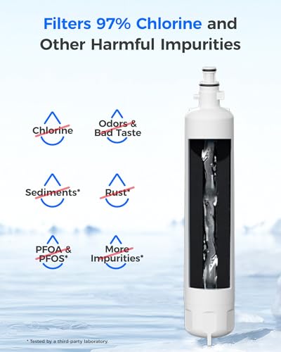 Waterdrop WD-F19C Replacement for GE® RPWFE®, RPWF (Built-in CHIP) Refrigerator Water Filter, Compatible with GFE28GYNFS, GFE28GELDS, PFE28KELDS, PFE28KYNFS, GFD28GELDS, PWE23KELDS, 2 Filters