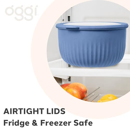 Oggi Set of 4 Prep, Store & Serve Plastic Bowls - w/See-Thru Lids- Dishwasher, Microwave & Freezer Safe, (0.7, 1.4, 2.6, 4 Quarts) - Multicolor