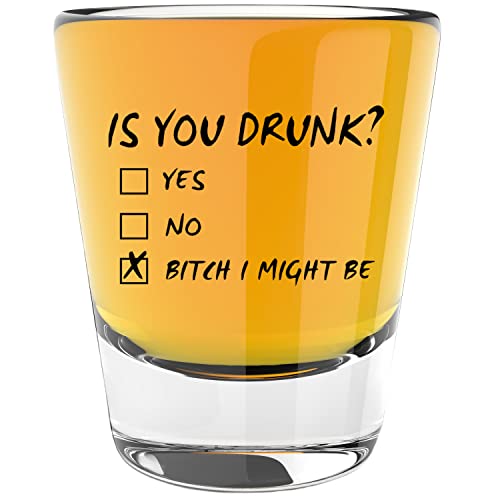 LitGifts Is You Drunk Design, Funny Shot Glasses for Adults, Drinking Gifts for Women or Men, Hilarious Inappropriate Stuff for Friends, Made in USA 1.75 Ounce Dishwasher Safe