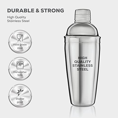 FineDine 10-Piece Cocktail Shaker Set with Travel Bag - Stainless Steel Shaker Set Bartender Kit - Mixology Bartender Kit - Strainer, Muddler, Jigger, Bar Spoon, Bottle Opener, Pour Spouts - Bar Set