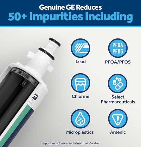 GE RPWFE Refrigerator Water Filter, Genuine Replacement Filter, Certified to Reduce Lead, Sulfur, and 50+ Other Impurities, Replace Every 6 Months for Best Results, Pack of 1
