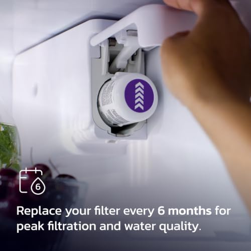 everydrop by Whirlpool Ice and Water Refrigerator Filter 1, EDR1RXD1, Single-Pack