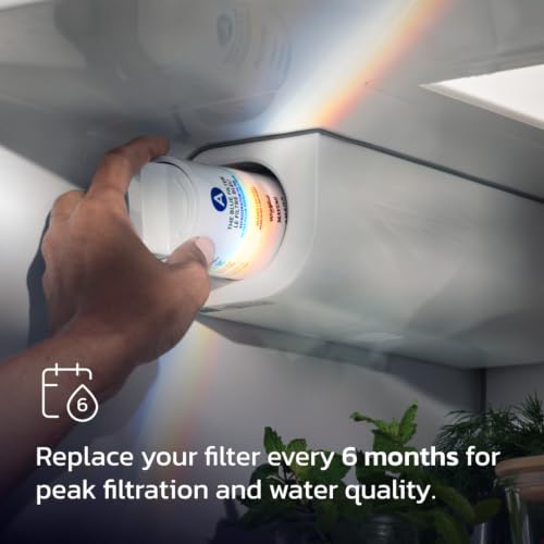 everydrop by Whirlpool Refrigerator Water Filter A - EDRARXD1, Single-Pack