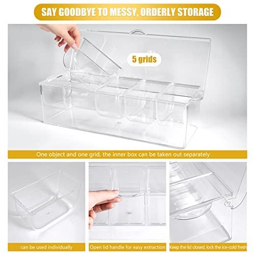 Condiment Tray with Stainless Steel 5 Spoons, 5 Forks and 1 Clip, Chilled Condiment Server, Condiment Server, Bar Garnish Holder on Ice, Bar Accessories Fruit and Salad with Removable Trays and Lid