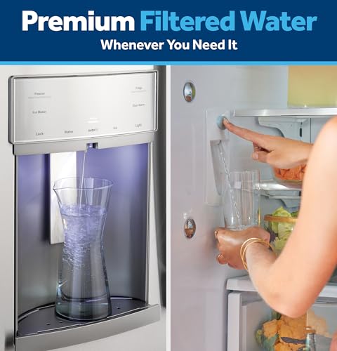 GE RPWFE Refrigerator Water Filter, Genuine Replacement Filter, Certified to Reduce Lead, Sulfur, and 50+ Other Impurities, Replace Every 6 Months for Best Results, Pack of 1