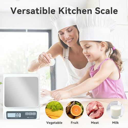 CYBERGIANT 13lb/0.1g Precision Digital Food Scale - Meal Prep Kitchen Baking & Espresso Coffee - Gram Scale with Stainless Steel Platform & LCD Display