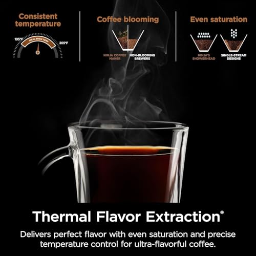 Ninja CM371 Hot & Iced XL Coffee Maker with Rapid Cold Brew, 4 Brew Styles, 8 Sizes Small Cup to Travel Mug, Single-Serve and 12-Cup Carafe, Permanent Filter, Removable Reservoir, Black (Renewed)