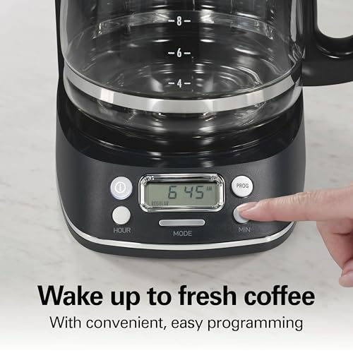 Hamilton Beach 12 Cup Programmable Hot & Iced Coffee Maker