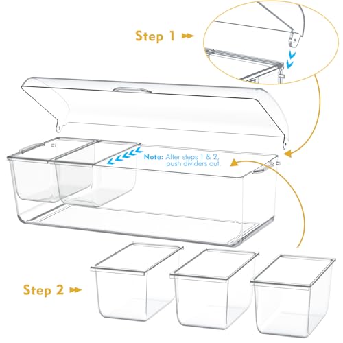 Condiment Tray with Stainless Steel 5 Spoons, 5 Forks and 1 Clip, Chilled Condiment Server, Condiment Server, Bar Garnish Holder on Ice, Bar Accessories Fruit and Salad with Removable Trays and Lid