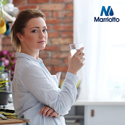 MARRIOTTO Water Filter Compatible with XWFE (Built-in CHIP), Replacement for GE XWFE, XWF Refrigerator Water Filter Pack of 2