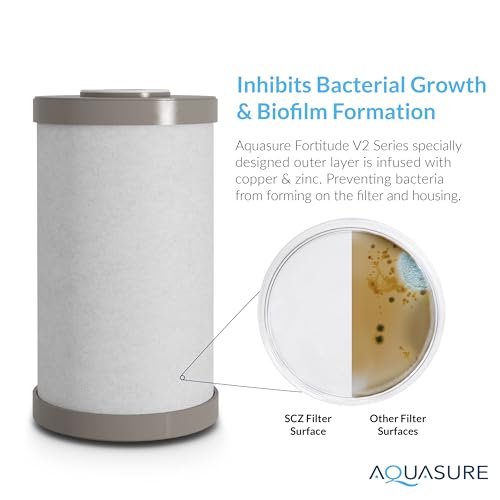 Fortitude V2 Series Sediment/Carbon/Zinc Bacteria Inhibiting Triple Purpose Replacement Filter - Standard (Sediment/Carbon/Zinc, Standard)