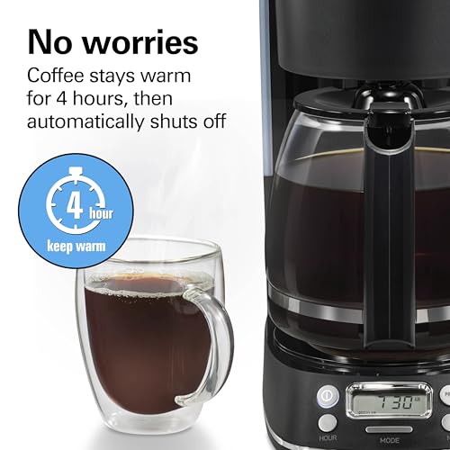 Hamilton Beach 12 Cup Programmable Hot & Iced Coffee Maker