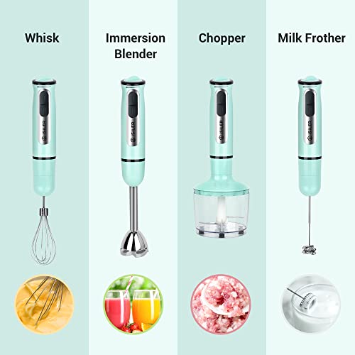 5-in-1 Hand Blender, 500W, 8 Speeds, Includes Chopper Frother Whisk - My Kitchen Products
