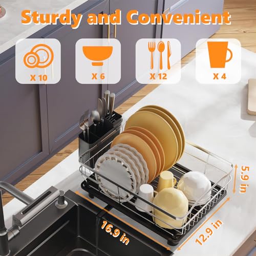 AIDERLY Stainless Steel Dish Drying Rack Dish Drainer, Black