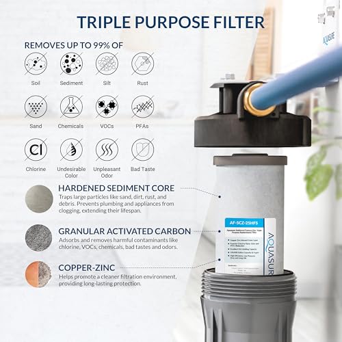 Fortitude V2 Series Sediment/Carbon/Zinc Bacteria Inhibiting Triple Purpose Replacement Filter - Standard (Sediment/Carbon/Zinc, Standard)