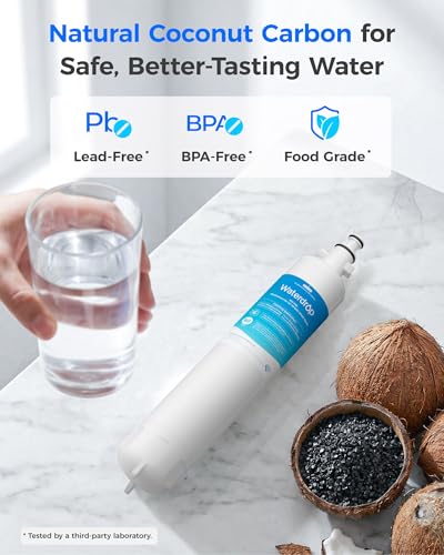 Waterdrop WD-F19C Replacement for GE® RPWFE®, RPWF (Built-in CHIP) Refrigerator Water Filter, Compatible with GFE28GYNFS, GFE28GELDS, PFE28KELDS, PFE28KYNFS, GFD28GELDS, PWE23KELDS, 2 Filters