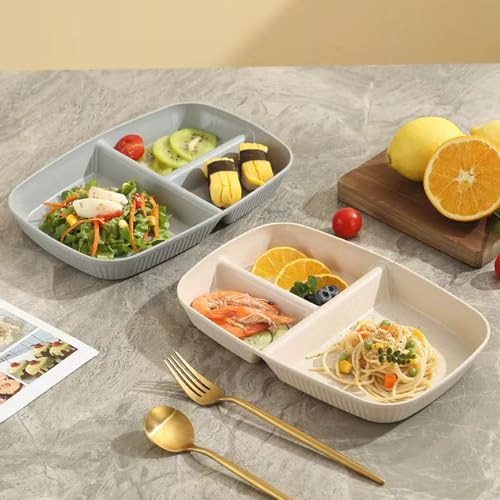 Divided Plates 10.5 Inch for Adults, Portion Control Bariatric Plate, Wheat Straw Plates with 3 Compartments, Unbreakable Reusable Portion Control Plates, BPA Free(4PCS) (INS Series-4PACK)