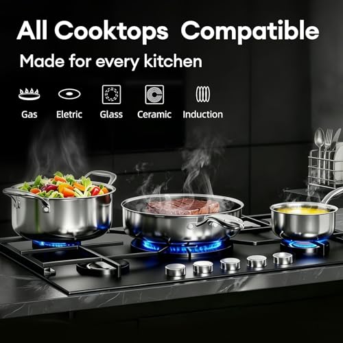COOKER KING Non Stick Pots and Pans Set, 10pcs Hybrid Stainless Steel Cookware Set, Frying Pans, Saucepans, Saute Pan & Stock Pot, Non Toxic, Oven & Dishwasher Safe, Induction & All Cooktop Compatible