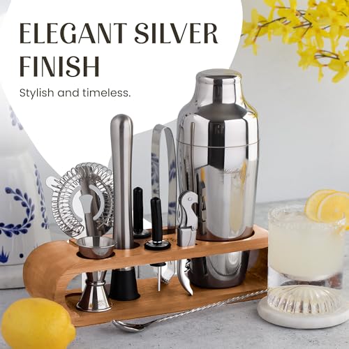 Mixology Cocktail Shaker Set - 10-Piece Cocktail Making Set - Home Bartender Kit in Bamboo Stand with Spoon, Boston Shaker, Other Tools for Drink Mixing, Martini, Mocktail - Gift Set (Silver)