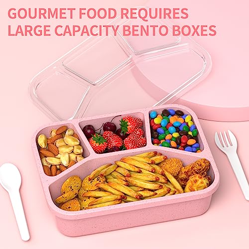 XGXN Bento Box Adult Lunch Box (4 Pack), 4-Compartment Meal Prep Container for Kids, Reusable Food Storage Containers with Transparent Lids, No BPA, Microwaveable (Wheat (Green/Blue/Pink/Beige))