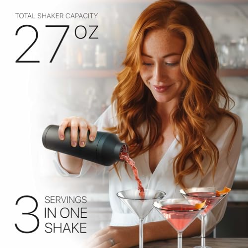 BARE BARREL Insulated Cocktail Shaker Set | Double Wall Stainless Steel | Martini Shaker for Home Bar Bartending | Built-in Drink Measure System & Strainer, Travel Bag, Recipes | Gift Set (Matt Black)