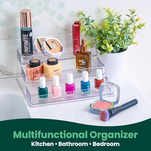 Oizeir Clear Spice Rack (2-Pack) - 3-Tier Acrylic Organizer for Cabinet - Deep Spice Shelf - 10.4 x 9.6 x 4 Inches - Holds Seasoning and Condiments