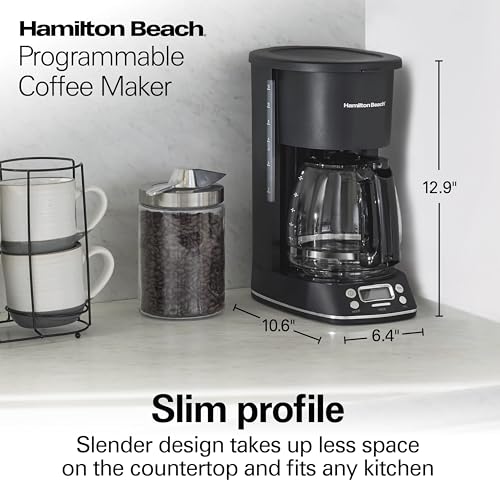Hamilton Beach 12 Cup Programmable Hot & Iced Coffee Maker