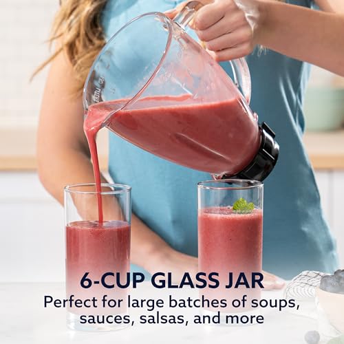 Oster Classic Series 16-Speed Blender with Food Chopper & 6-Cup Glass Jar, Countertop Kitchen Blender, Brushed Nickel