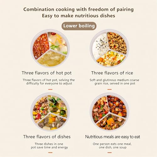 4L Electric Hot Pot Pressure Cooker, Multi-Compartment Smart Cooker with 70KPa Pressure Cooking, Digital Display, 10 Presets, 24H Timer, Nonstick Electric Cooker for Soup, Rice, Stew & Mushy Food
