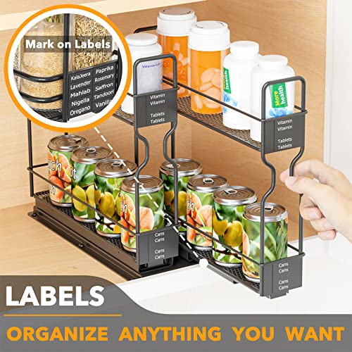 SpaceAid Pull Out Spice Rack Organizer for Cabinet, Heavy Duty Slide Out Seasoning Kitchen Organizer, Cabinet Organizer, with Labels, 5.2" W x10.75 D x10 H, 2 Drawers 2-Tier