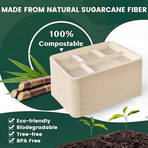 Tinybee 100% Compostable 5 Compartment Paper Plates 12.5 * 8.6 Inch [100-Pack] Heavy Duty Divided Disposable Eco-Friendly Bagasse Plates Lunch Trays for Buffet/Party/School (BPI-Certified) Nautral