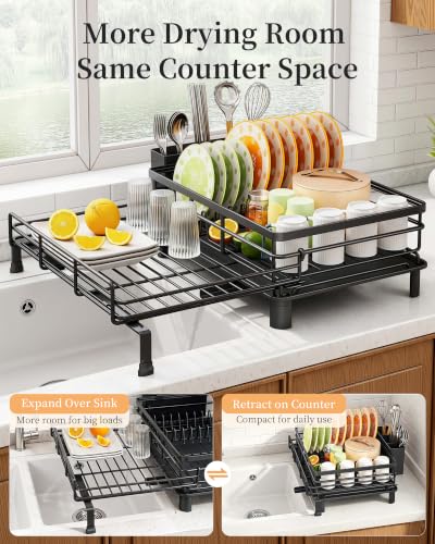 SAYZH Expandable Dish Drying Rack for Kitchen Counter, Metal, Black