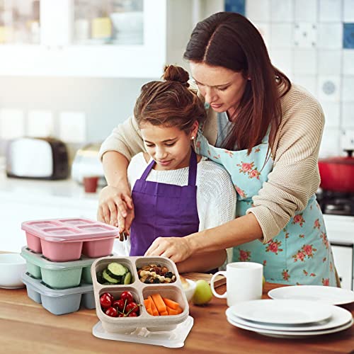 Lvcksturoge 4 Pack Snack Containers, 4 Compartments Bento Snack Box, Reusable Meal Prep Lunch Containers for Kids Adults, Divided Food Storage Containers for School Work Travel